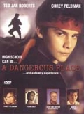 A Dangerous Place
