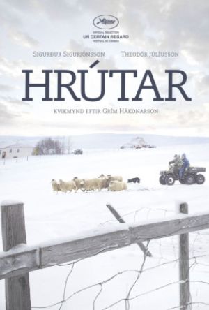 Hrútar